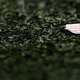 Image for article titled We Might Soon Learn If The NFL Exchanged Cover-Up Strategies With Big Tobacco